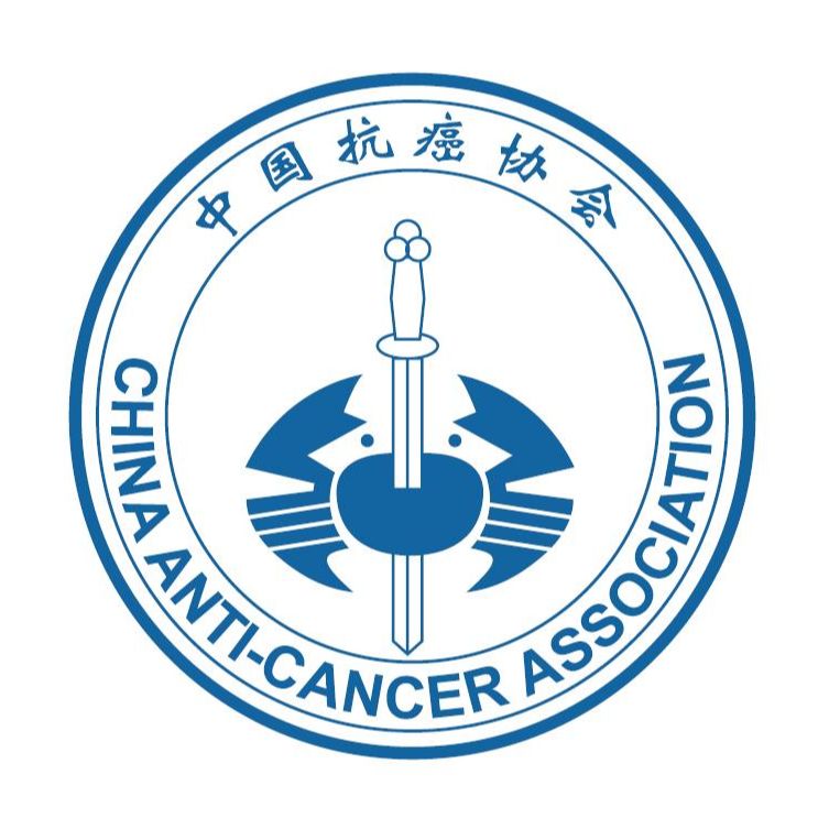 爱球直播